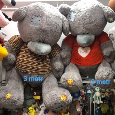 Teddy va boshqa yumshoq oʻyinchoqlar arginal