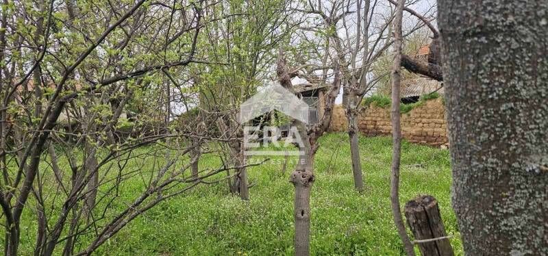Продава се Къща в с. Елена, Област Хасково - 100 кв.м за 87 €/кв.м - Снимка #4