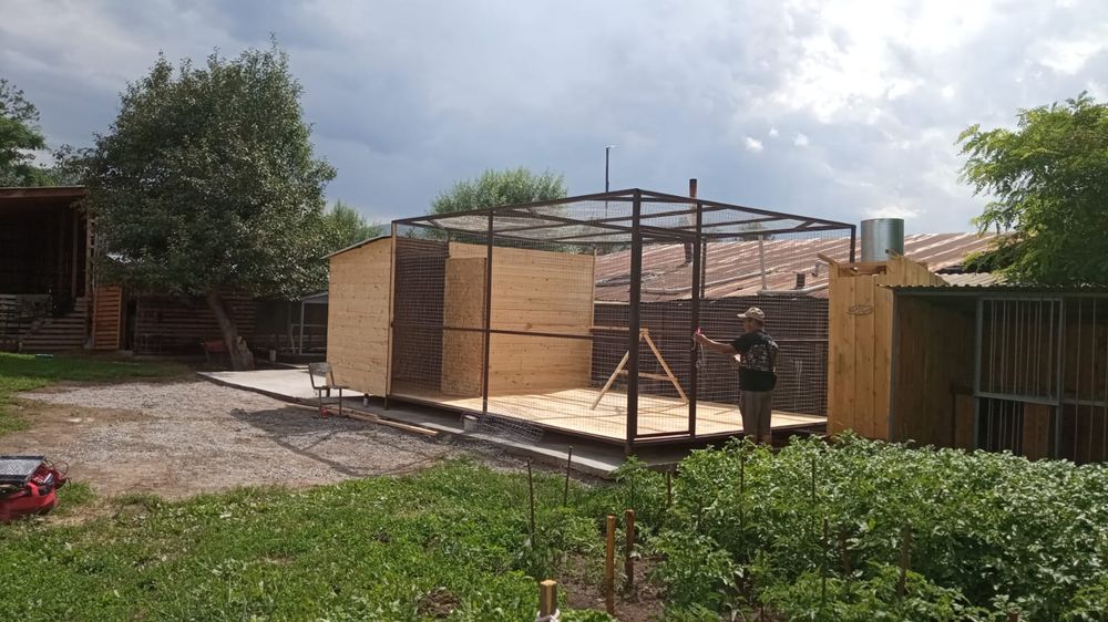 Павлинник на заказ