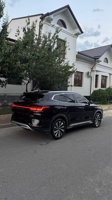 Byd chempion gibrit 150