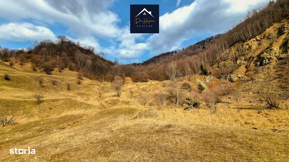 SIRIU - Oportunitate de investitie | Teren cu PUZ | Intre Lac si Padur