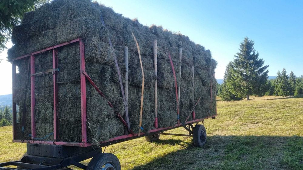 Baloți din fân de câmp