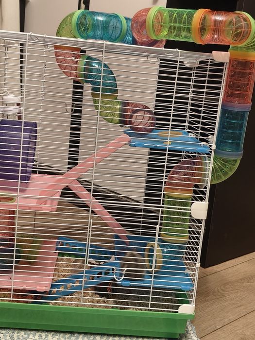 Cușcă pentru hamster+ un hamster pitic