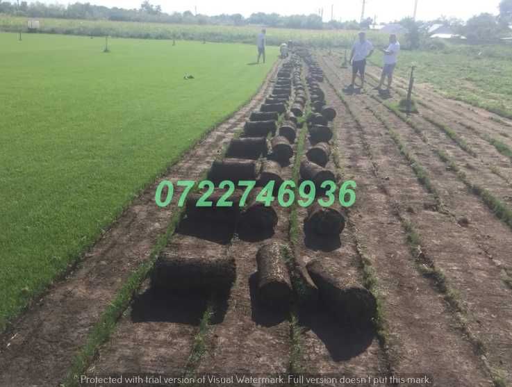 Gazon Natural Verde Intens pentru Amenajări Exterioare