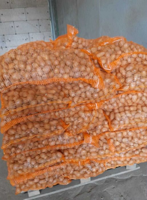 Cartrtofii de samanta pentru animale