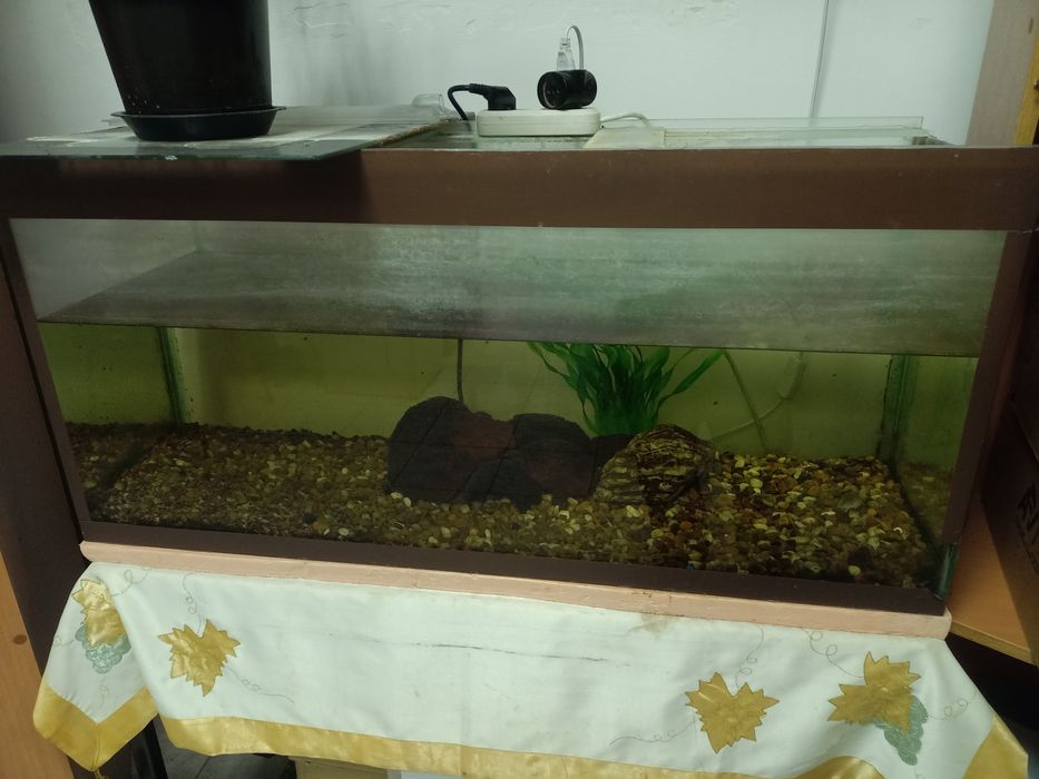Продам Аквариум для рыб