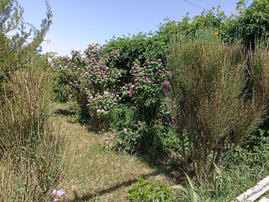 Дача в со Урожай