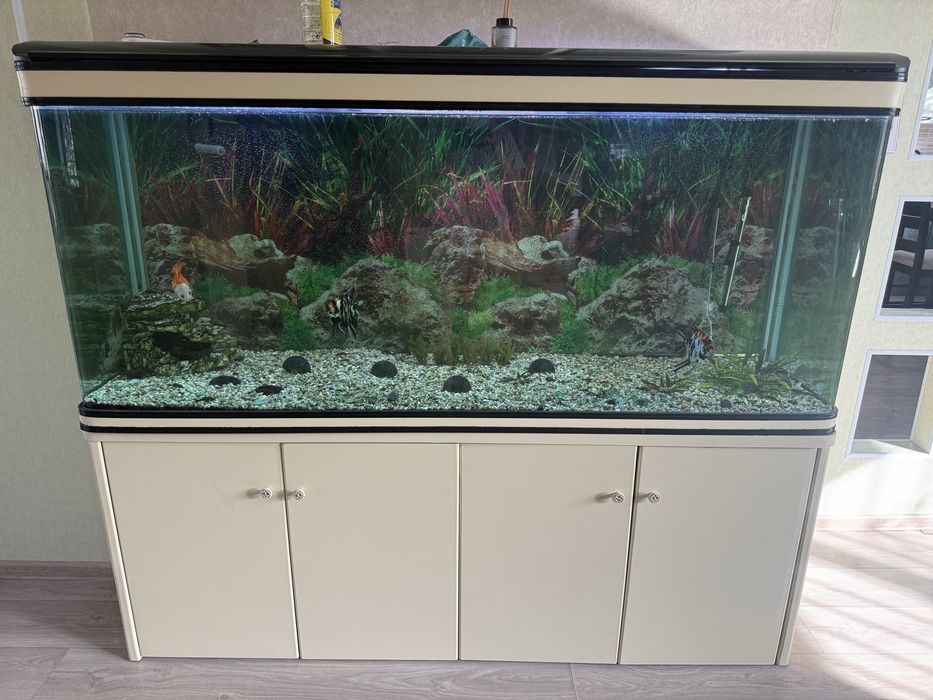 Аквариум 600 литров