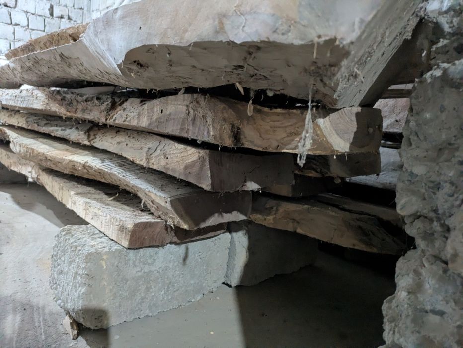 Taxta yong'oq daraxtidan