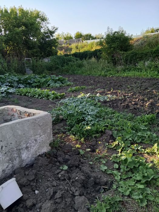 Продам дачу мичуринец срочно
