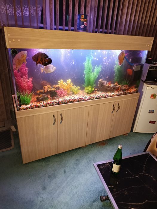 Аквариум 430 литров готовый