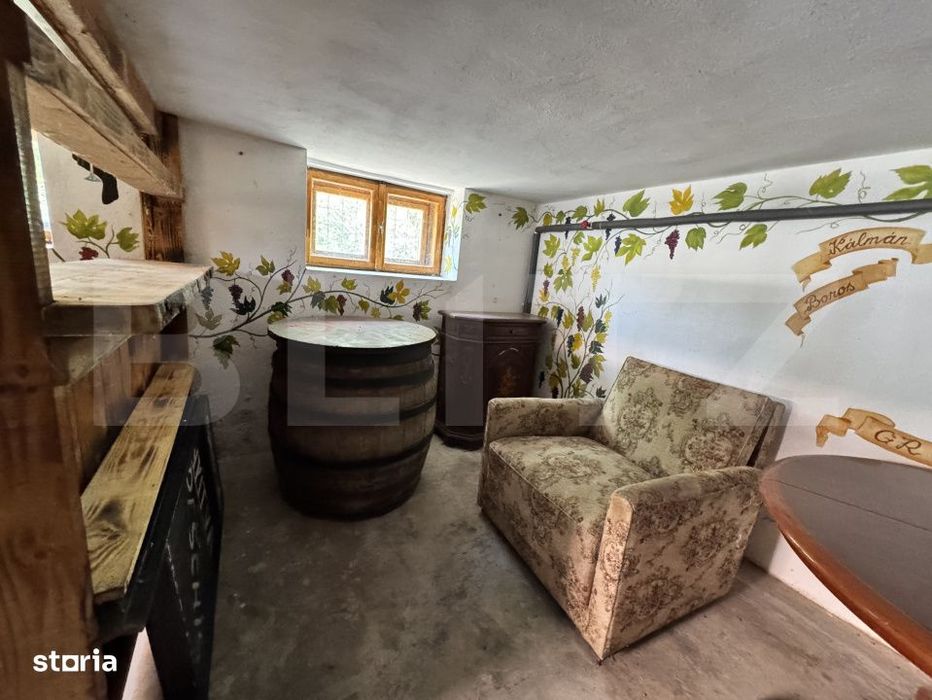 Proprietate superba in Damieni! cu potential enorm comercial! 550mp ut
