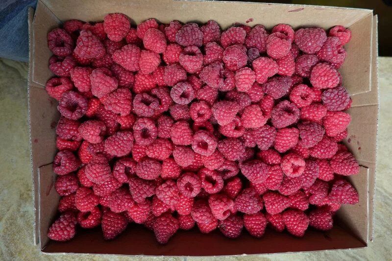 Клубника,малина,клюква,облепиха