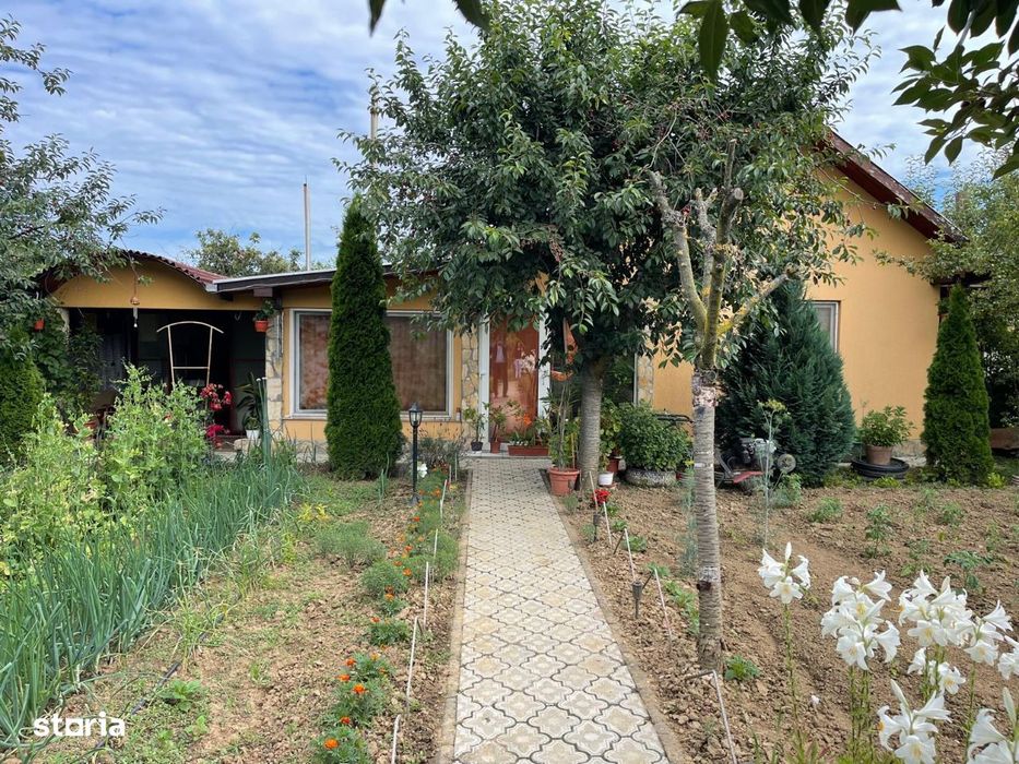 Teren 50 Ari,cu casa de vacanta, Drumul Careiului