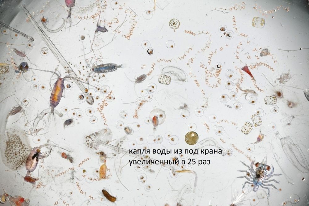 Купить в Ташкенте фильтры для очистки воды (3-5 и 6 ступней очистки)