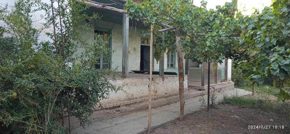 Uchaska 7 sotik oldi ayvon