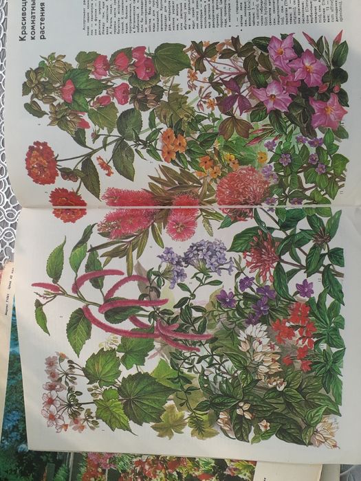Журнал цветоводство