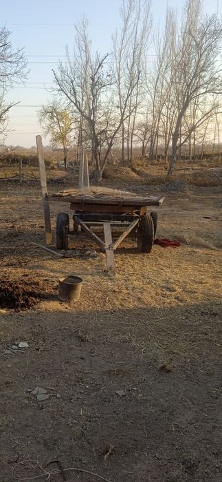 трактор сотилади