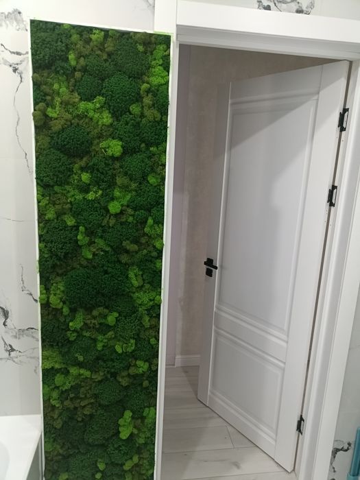 Мох стабилизатор готовый рамка