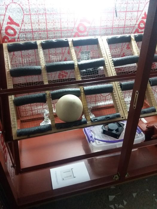 Инкубатор на 54 страусиных яйца. Гарантия 1 год.