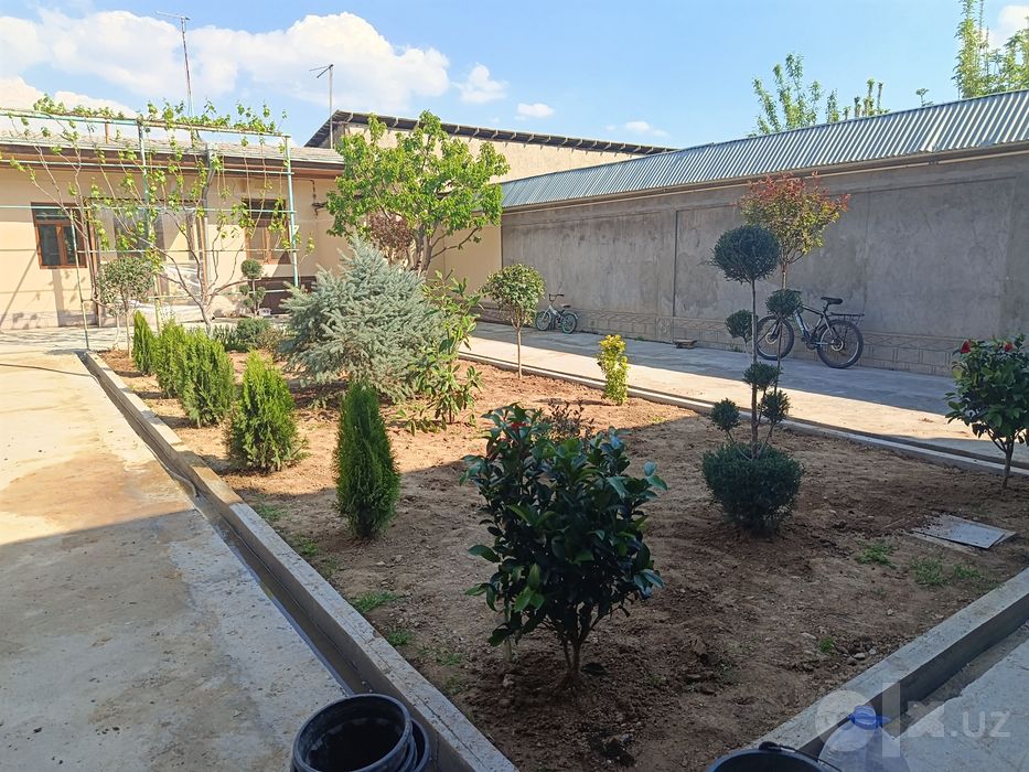 Lanshaft dizayn hizmatlari
