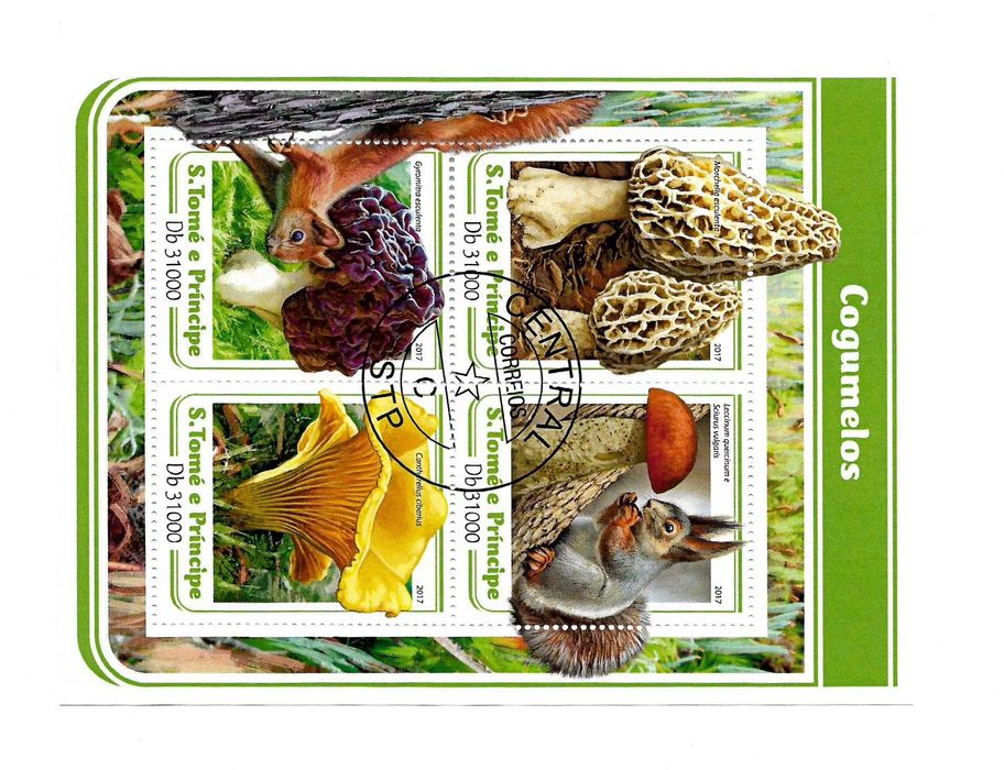 Super set de invatare a filateliei set colite tema ciuperci de padure ghebe manatarci bureti 25 lei colita 200 lei setul