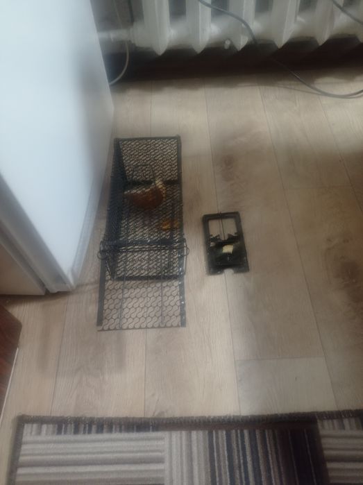 Продам мышеловка  крысолов