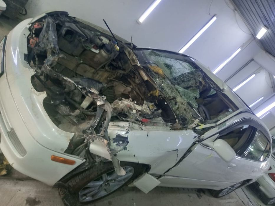 Кастаправ малярь