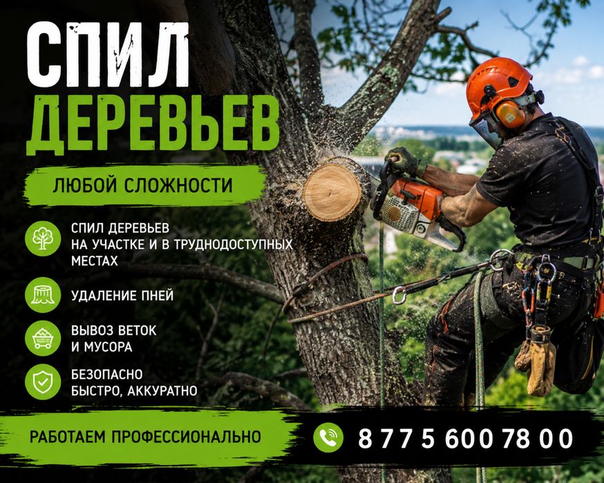 Спил  Деревьев Распил деревьев