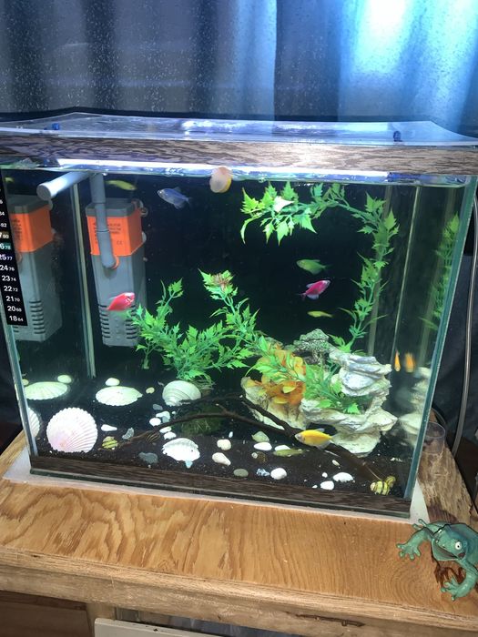 Аквариум в полном сборе
