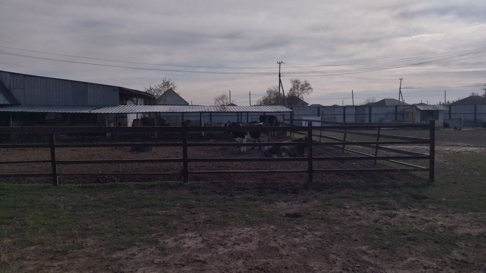 Дом, 50 соток земли.