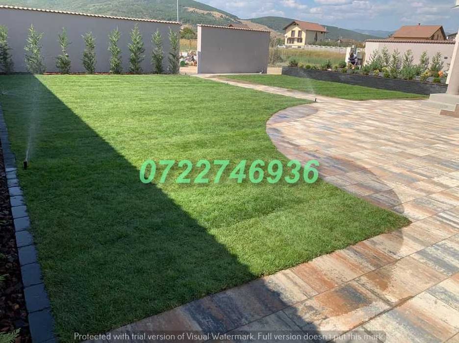 Gazon Natural cu Prindere Rapidă și Aspect Premium