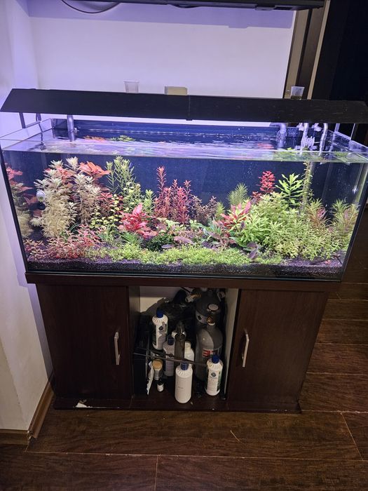 Acvariu 160l 100/40/40 cm împreună cu stand