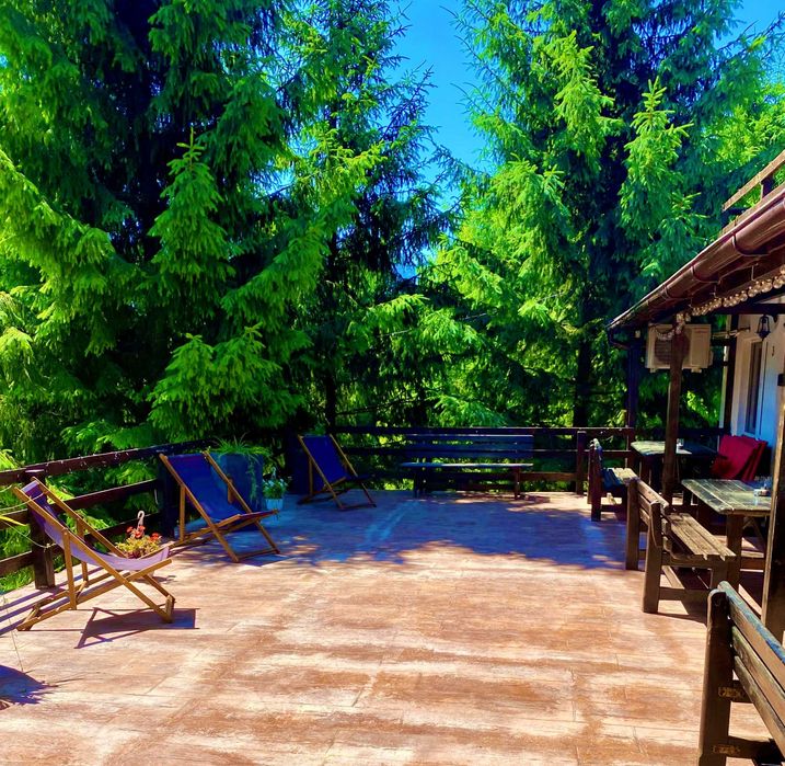 Cabana de inchiriat Colibita