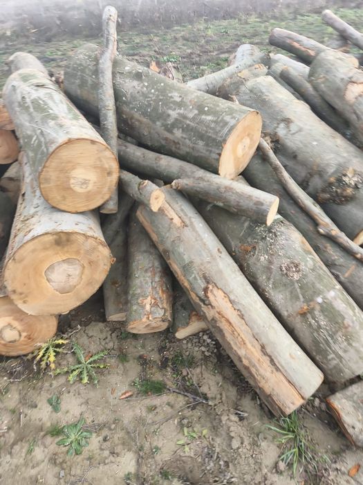 Aduc lemne pe comanda