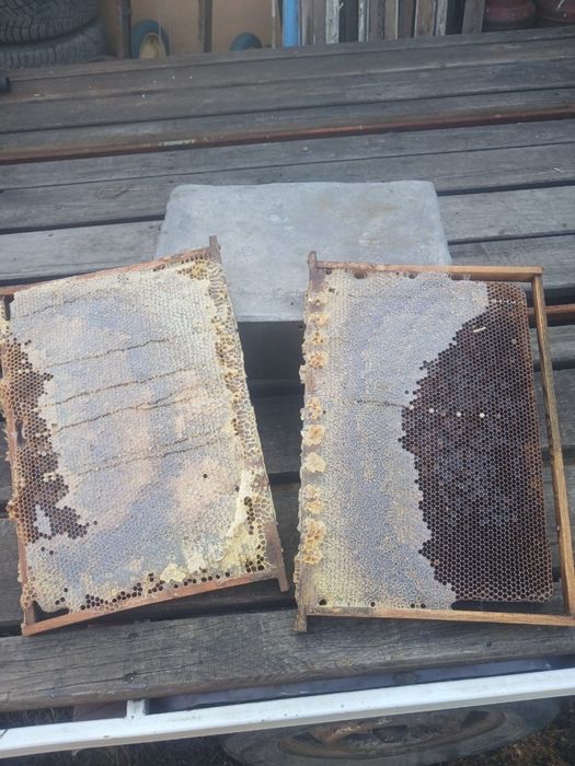 Продам рамки с мёдом