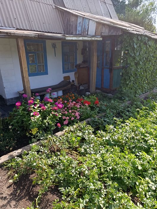 Продаю дачу в дачном обществе