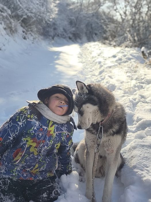Хаска кобель очень послушный