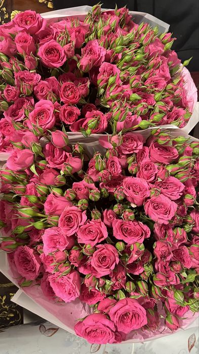 цветы в хорошем состоянии