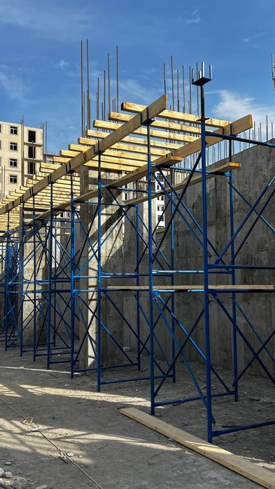 Маналетний Леса абйомней