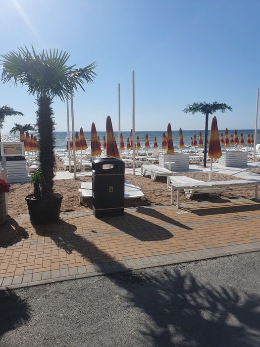 Peisagistică amenajări grădini