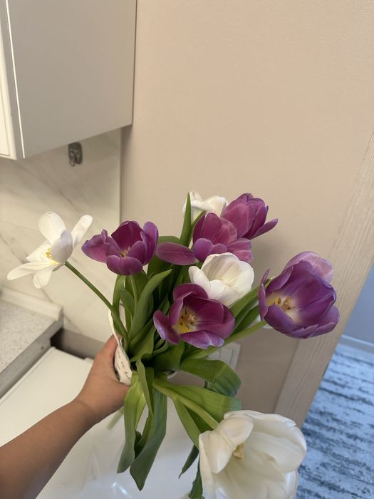 Цветы Тюльпаны