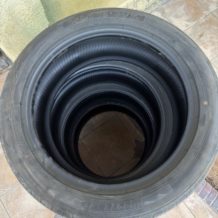Balon byd seal 6