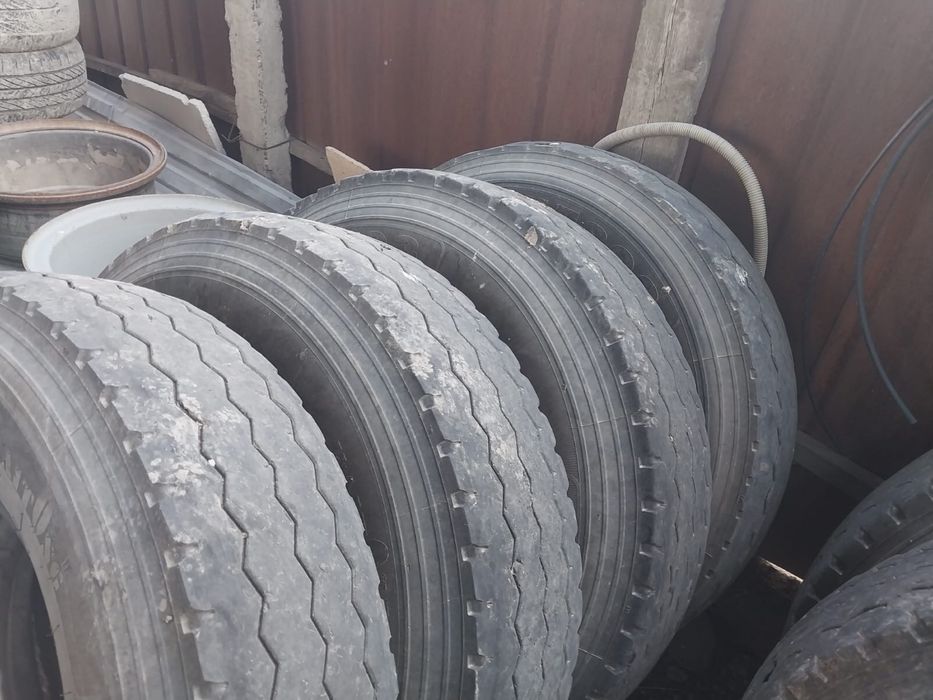 Резина шины шахман хова