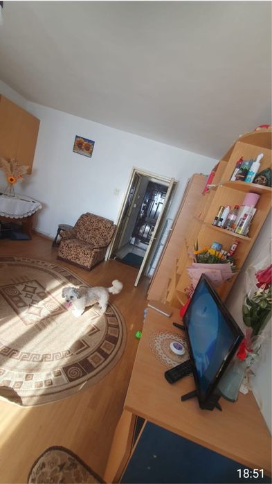 Garsonieră 35 mp, centrală proprie, mobilată – Făgăraș, Tudor Vladimirescu