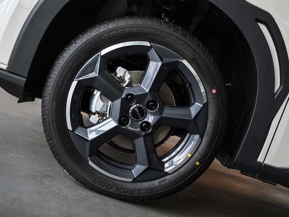 SEAGULL ( 405 KM Flying )