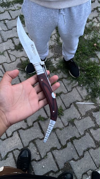 Briceag spaniol kricet de vanzare