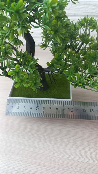 Дерево    Бонсай