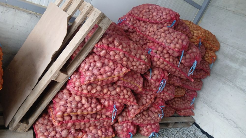 Cartofi animale  074[060]45]98