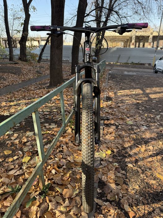 Alpha mustang RockShox